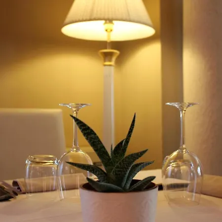 Hotel Soresina 3* Soresina